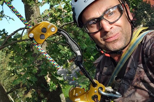 Wycinka Drzew Warszawa Cennik 