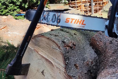 Wycinka Drzew Warszawa Cennik 