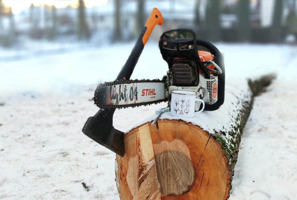 Wycinka drzew Warszawa profesjonalna wycinka drzew