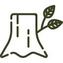 Usunięcie pnia - wycinka drzew Warszawa